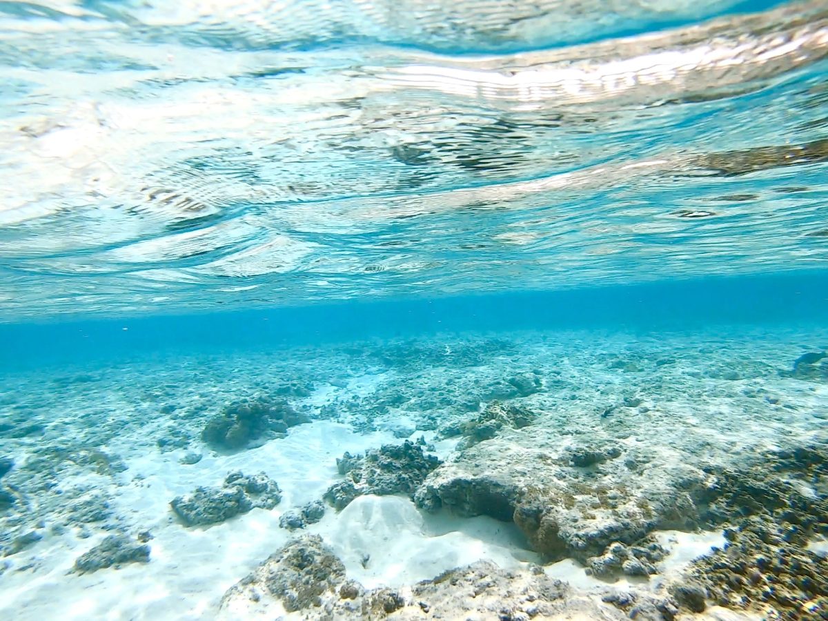 青之洞窟 潛水 浮潛7