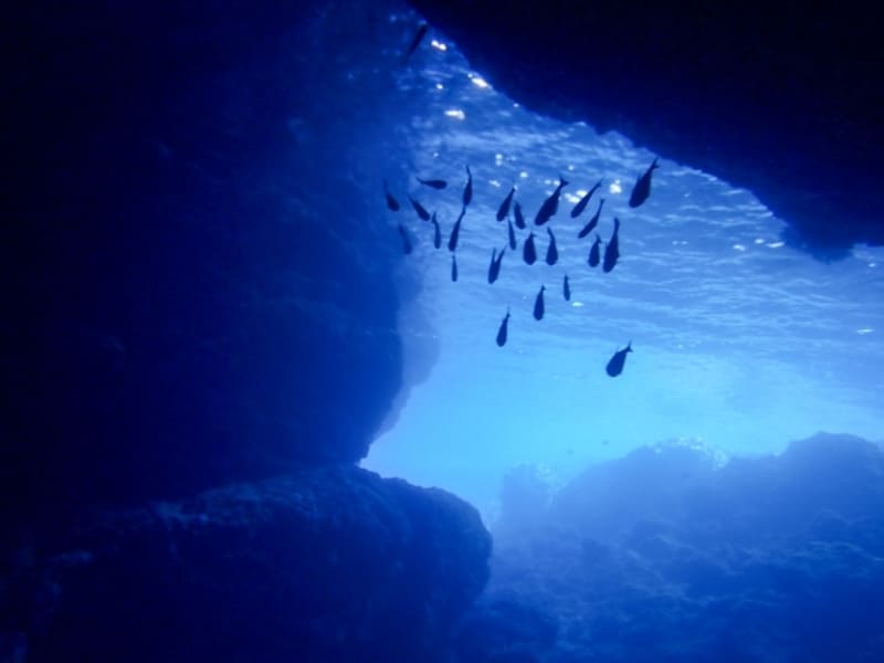 青之洞窟潛水