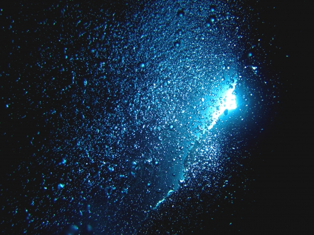 沖繩恩納村青之洞窟潛水＆浮潛體驗
