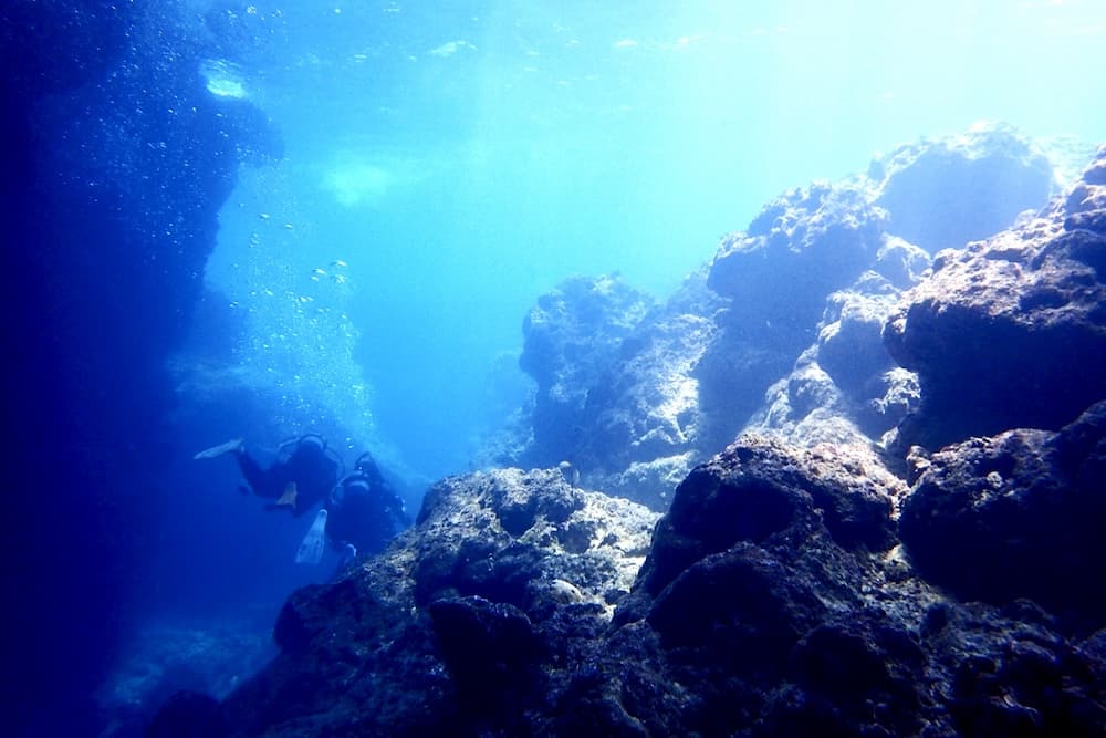 從台灣去的所有費用三天兩夜