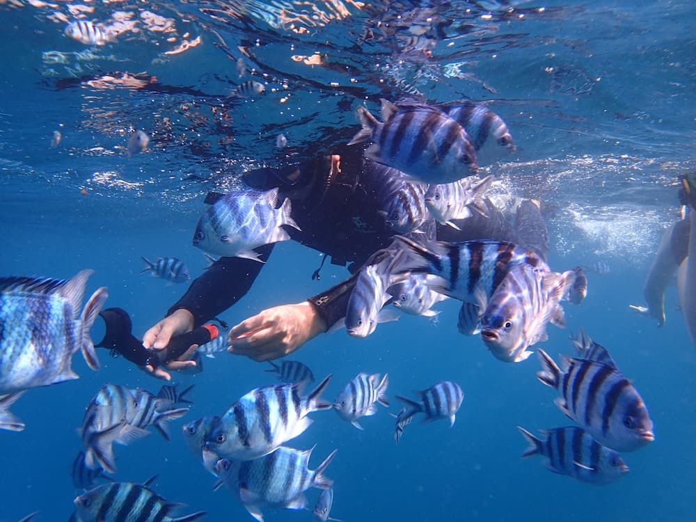 我推薦Pinkmermaid的5個行程