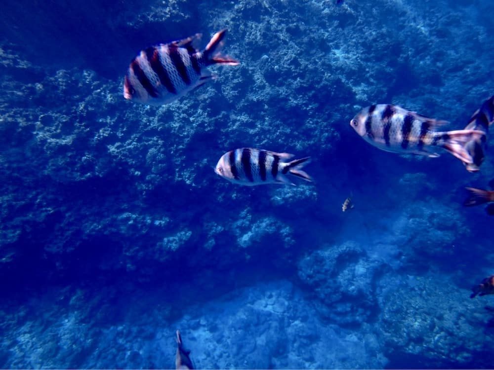 沖繩青之洞窟有過意外嗎？