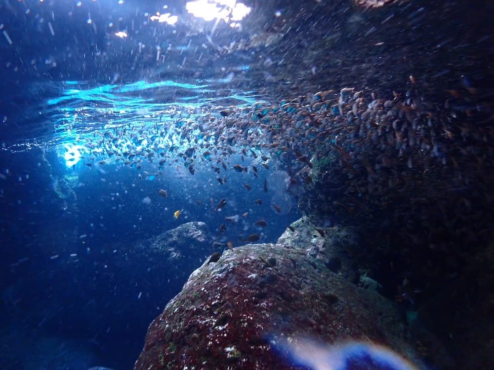 沖繩青之洞窟介紹：我最常去的潛水景點