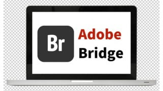 什麽是Adobe Bridge？介紹5個功能和下載方法教學