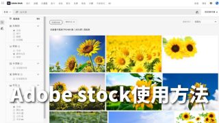 【方便】Adobe Stock使用方法 圖片搜尋篩選功能怎麽用？