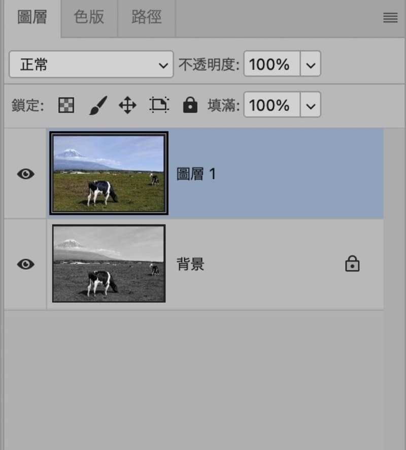 Photoshop彩色化濾鏡