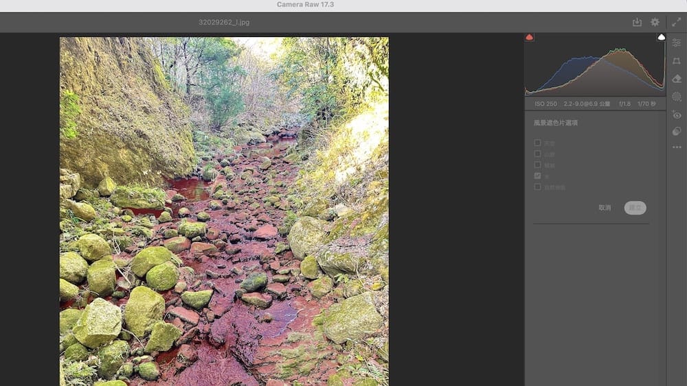 Camera Raw風景選擇功
