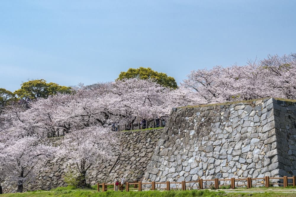 舞鶴公園 & 福岡城跡