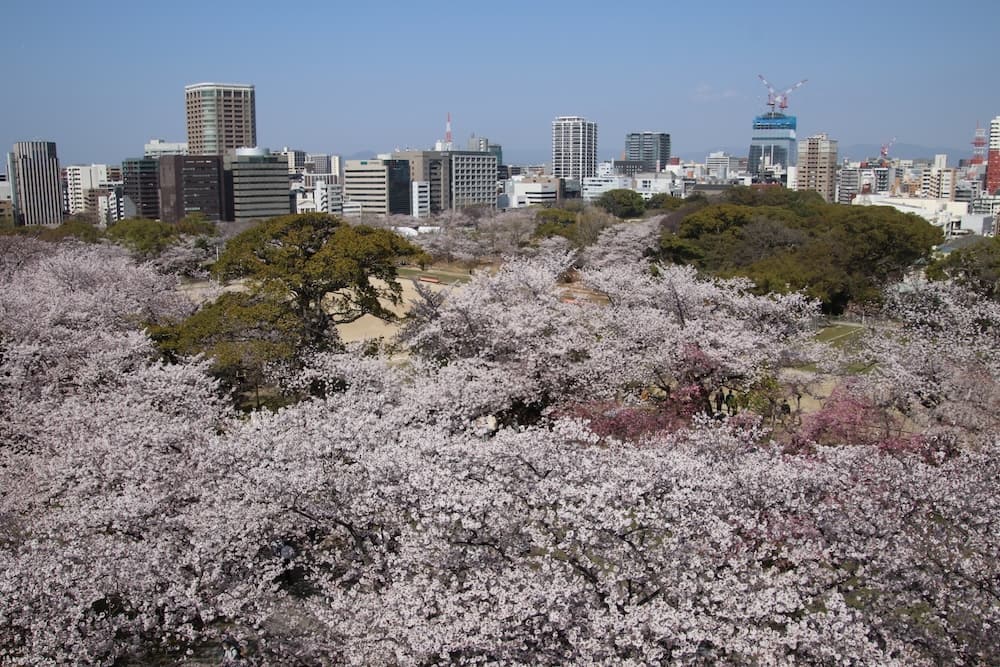 舞鶴公園 & 福岡城跡