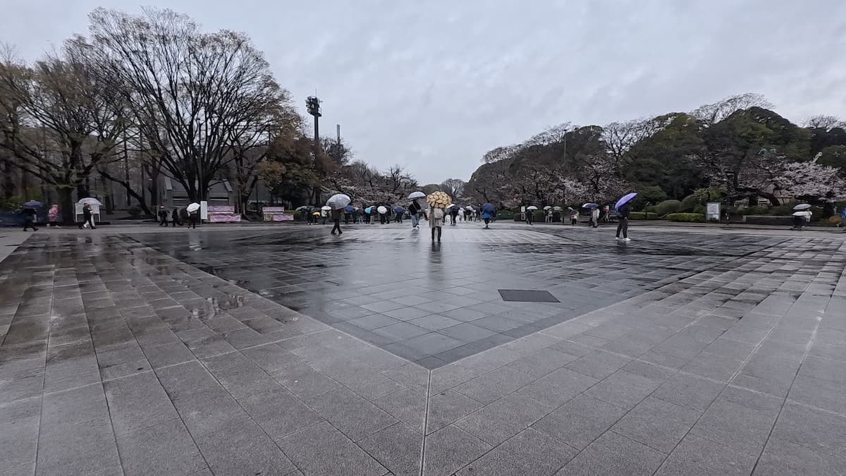Insta360 Go Ultra 156°的視角相當廣