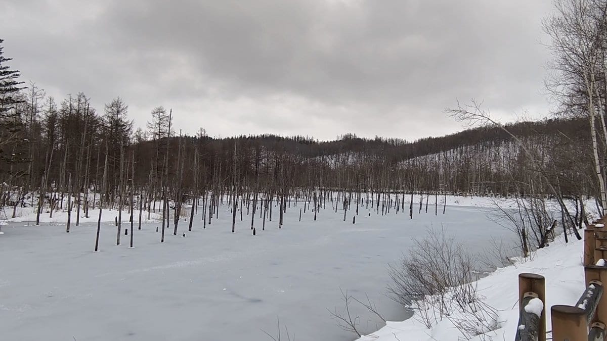 白金青池 冬天的雪景