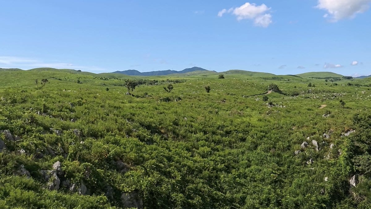 秋吉台 草原與石灰岩