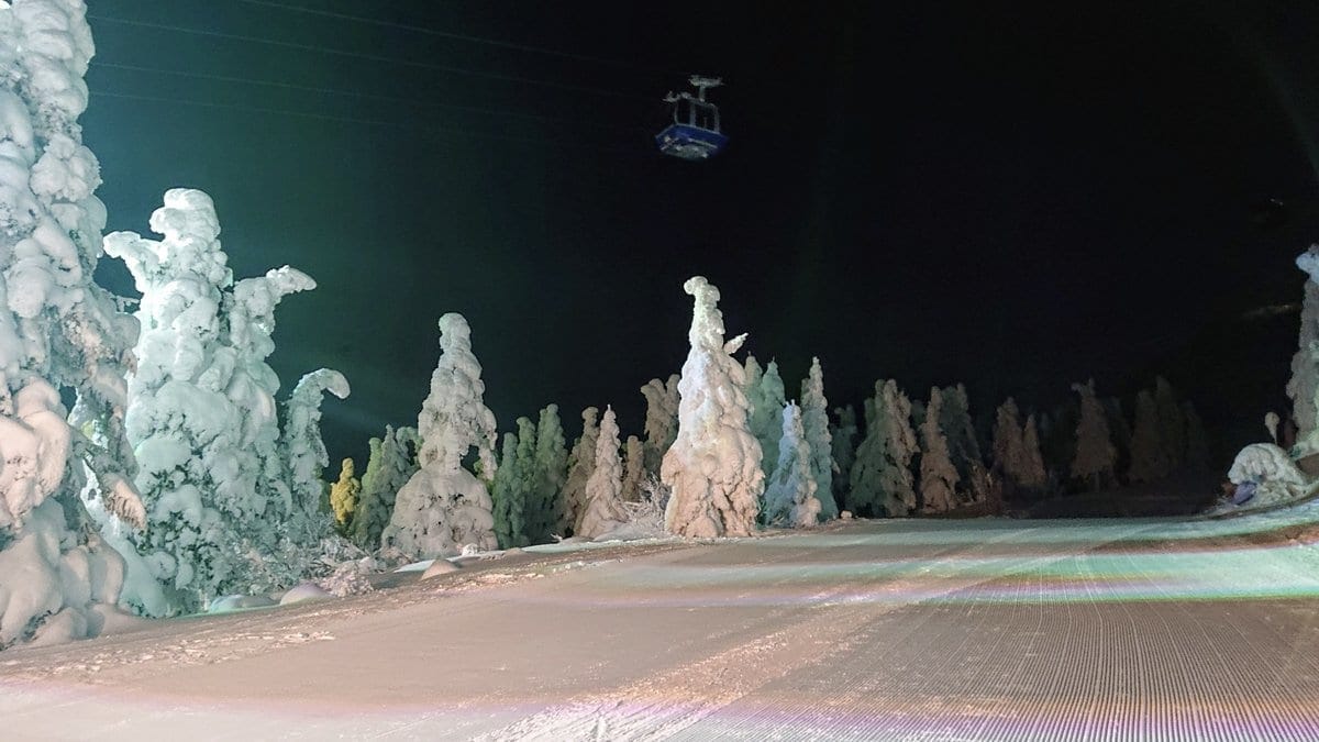 藏王樹冰 夜間點燈