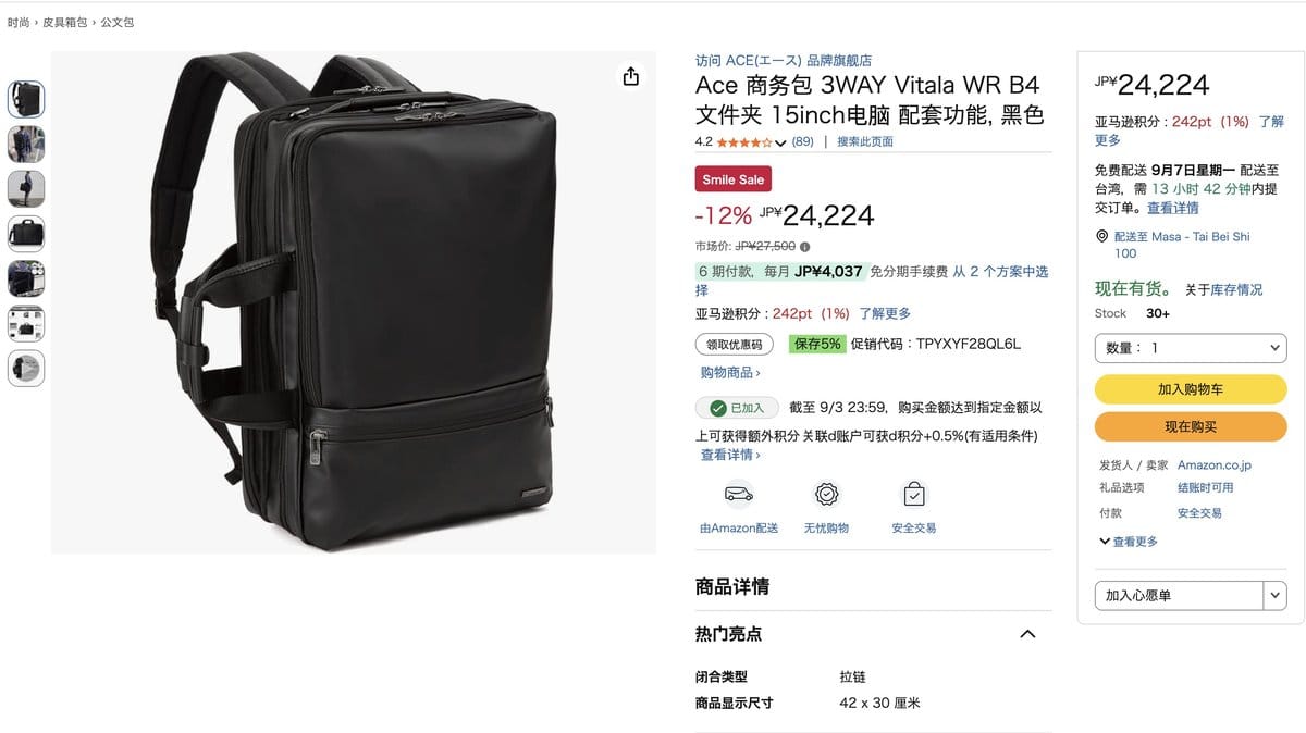 ACE 三用商務後背包 22公升