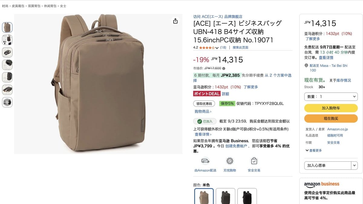 ACE 大容量尼龍後背包 17公升