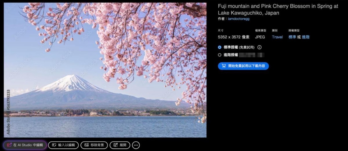 Adobe Stock 素材頁面 在AI Studio中編輯
