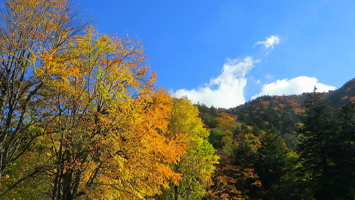 日光的紅葉