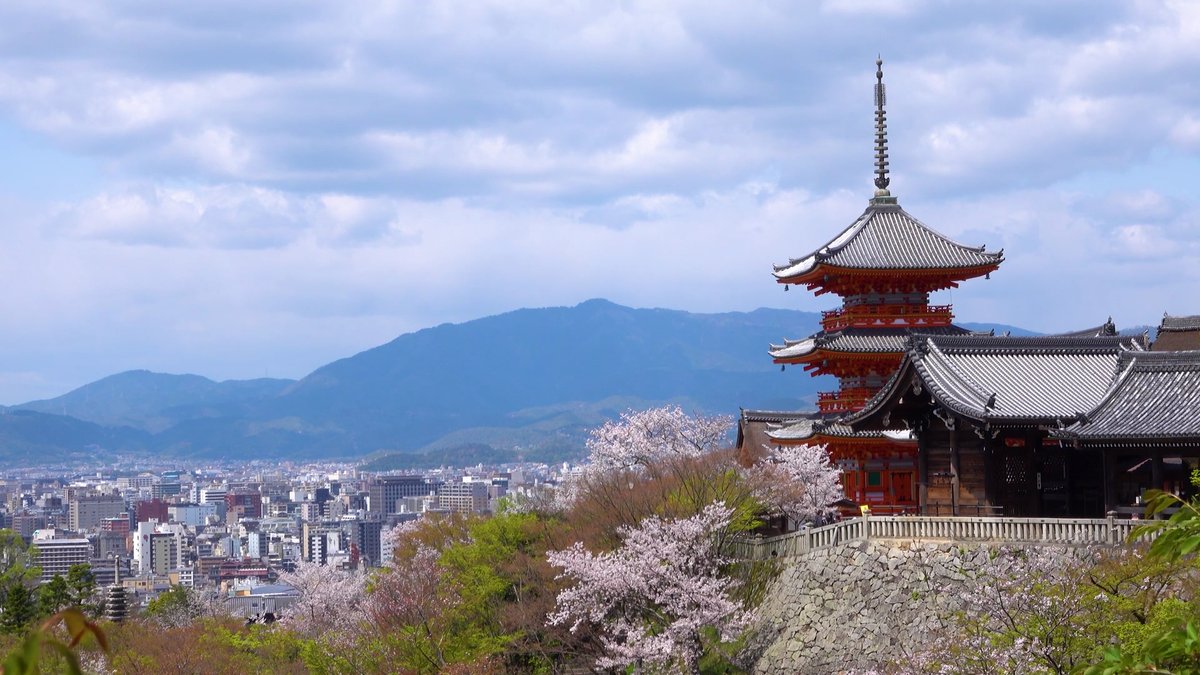 京都清水寺與櫻花