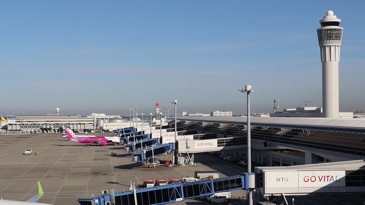 機場的停機坪