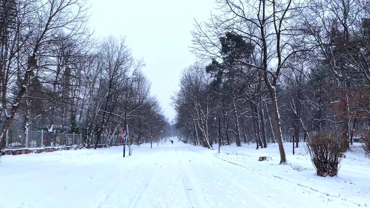 北海道的雪景道路